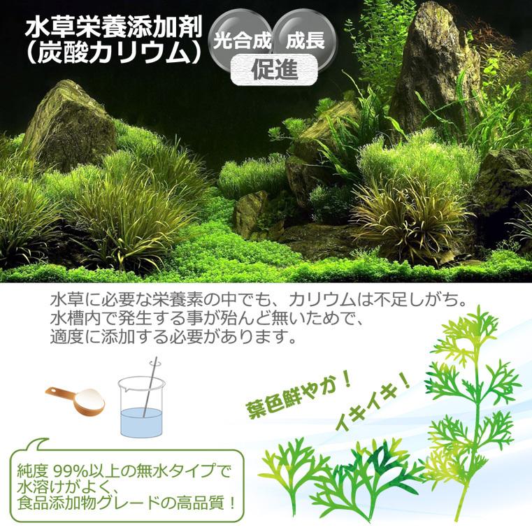 炭酸カリウム １００ｇ 水草の栄養素 21新春福袋 水草の栄養素