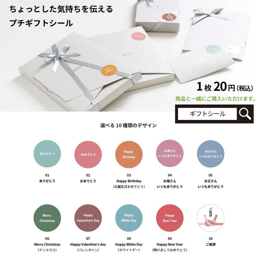 aso エコバック Regile2 レジル2 Mサイズ コンパクト 父の日 入学 卒業