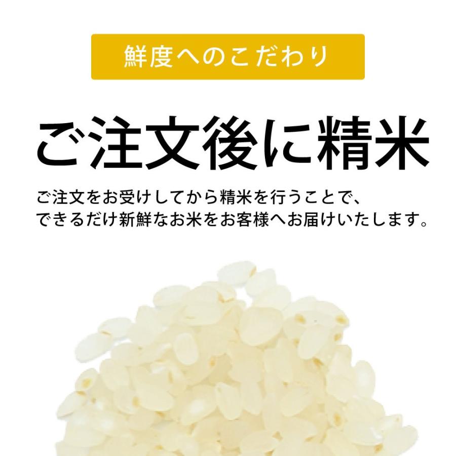 令和2年度産 酒井美由紀さんのお米 コシヒカリ アイガモ農法米 無農薬栽培 熊本阿蘇産 Rice Sakai 阿蘇のなかストア 通販 Yahoo ショッピング