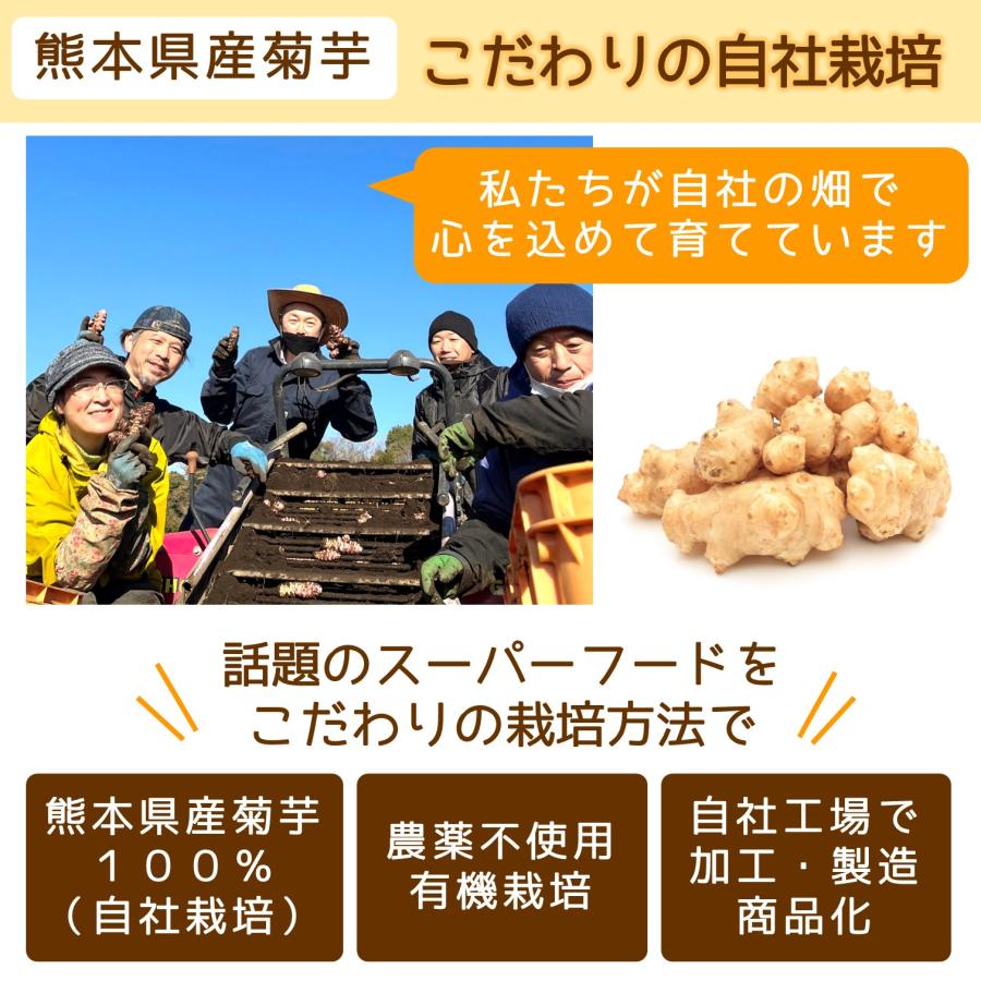 菊芋の小粒(100粒入り)1袋 菊芋 サプリ イヌリン 水溶性食物繊維 国産