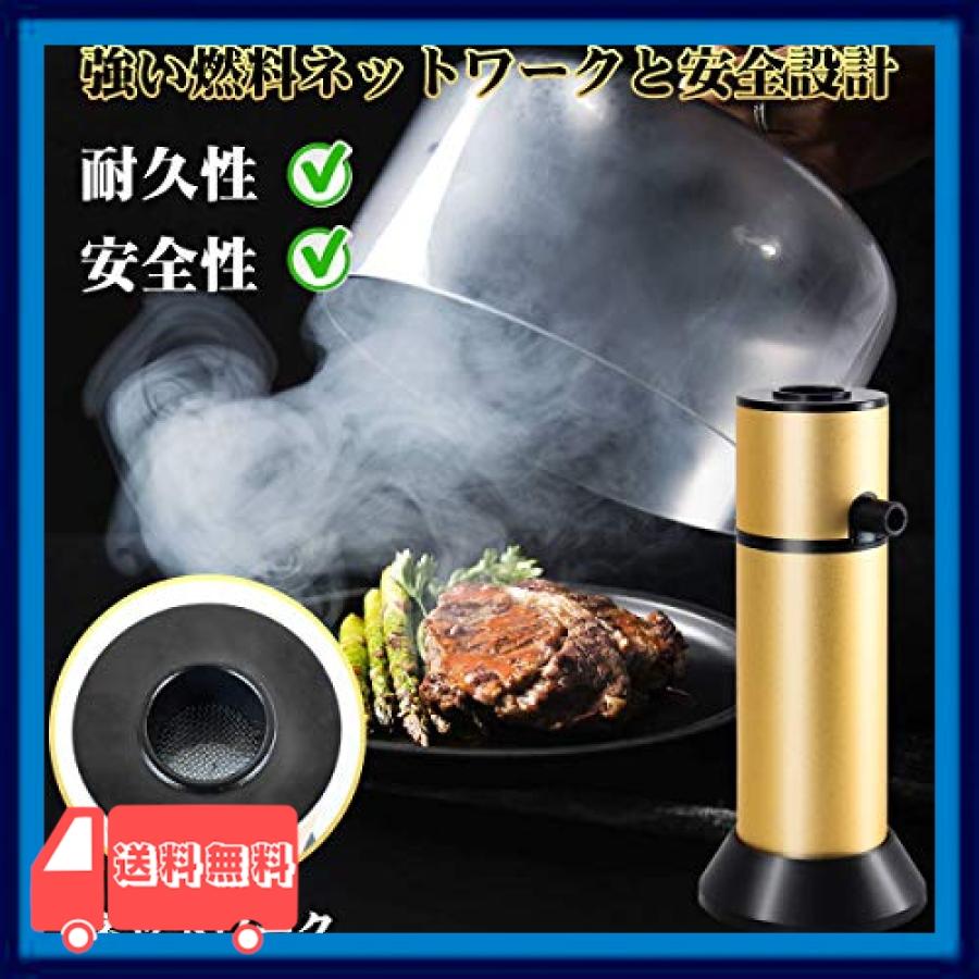 燻製器 燻製機 スモーカー Qfun くんせい器 フードスモーカー 人気 家庭用 室内用 キャンプ アウトドア 小型 ポ Gqx 麻生川商店 通販 Yahoo ショッピング
