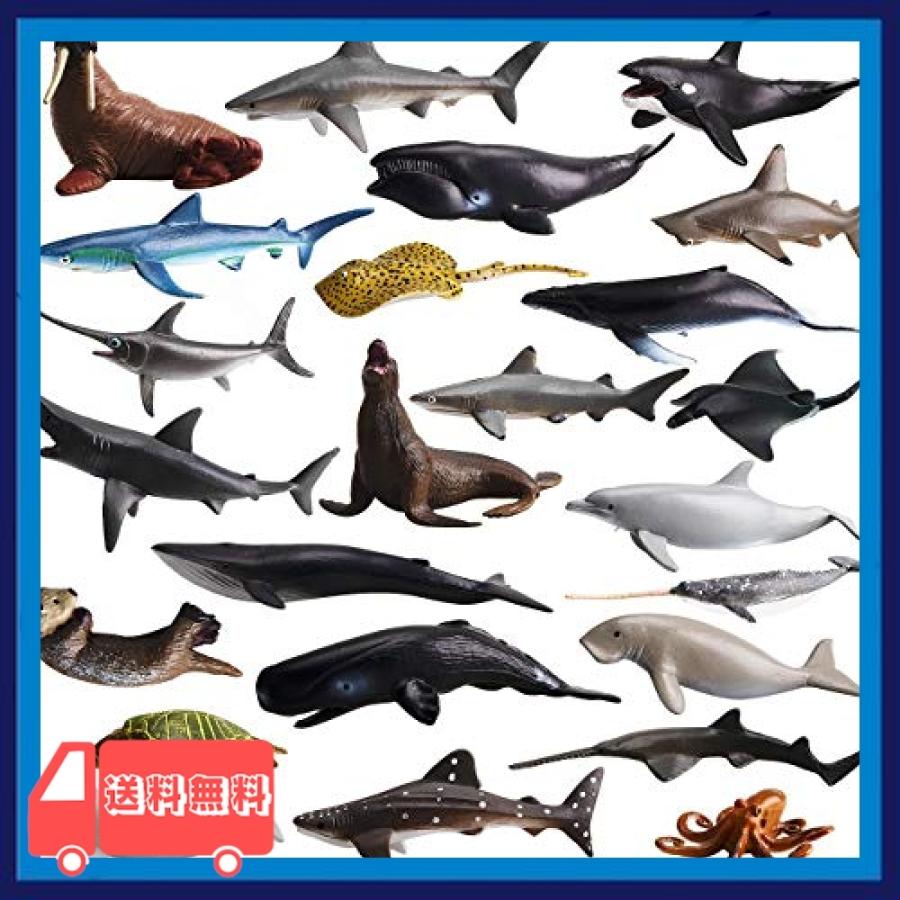 Toymany 動物フィギュア 海洋フィギュアセット リアルな動物模型 海洋おもちゃ 24pcs入 子供おもちゃ 誕生日プレ Suz96 麻生川商店 通販 Yahoo ショッピング