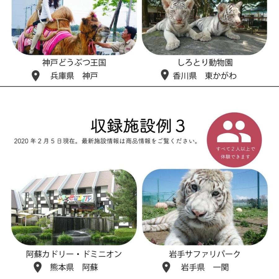 アソビュー 体験ギフト 動物園 サファリパークギフト 誕生日 結婚記念日 ギフト プレゼント アソビューギフト アソビュー ギフト 通販 Yahoo ショッピング