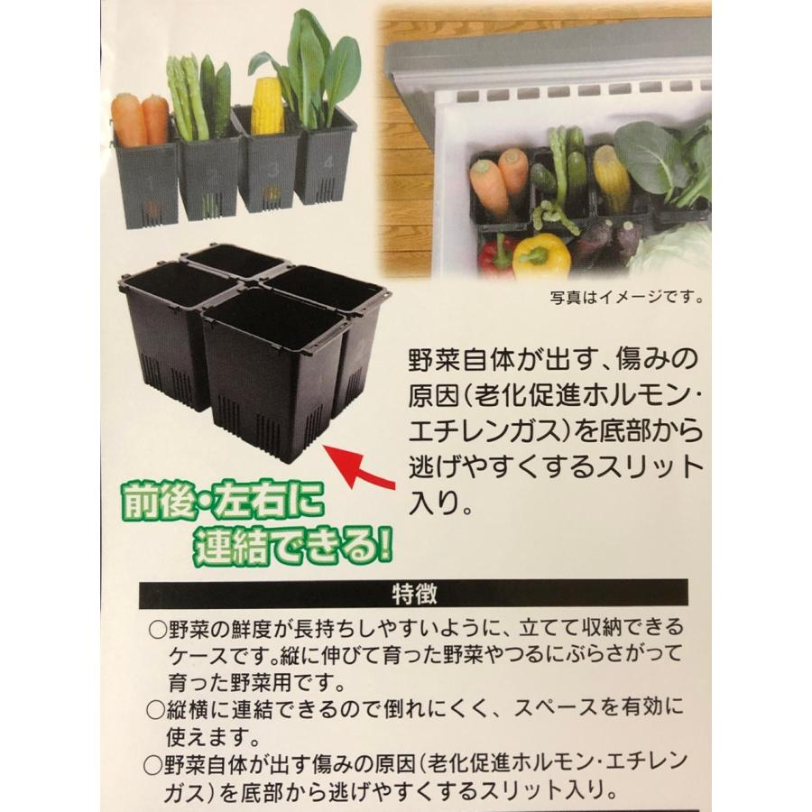 野菜スタンド　菜鮮箱　4個組　　野菜室　野菜の保存　野菜の仕分けに!! 日本製｜asp-delivery｜02