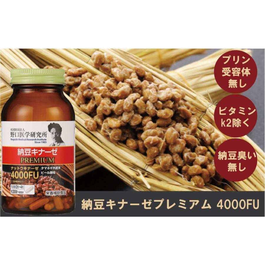 野口医学研究所 明治薬品株式会社 納豆キナーゼHQ 120粒 4000FU