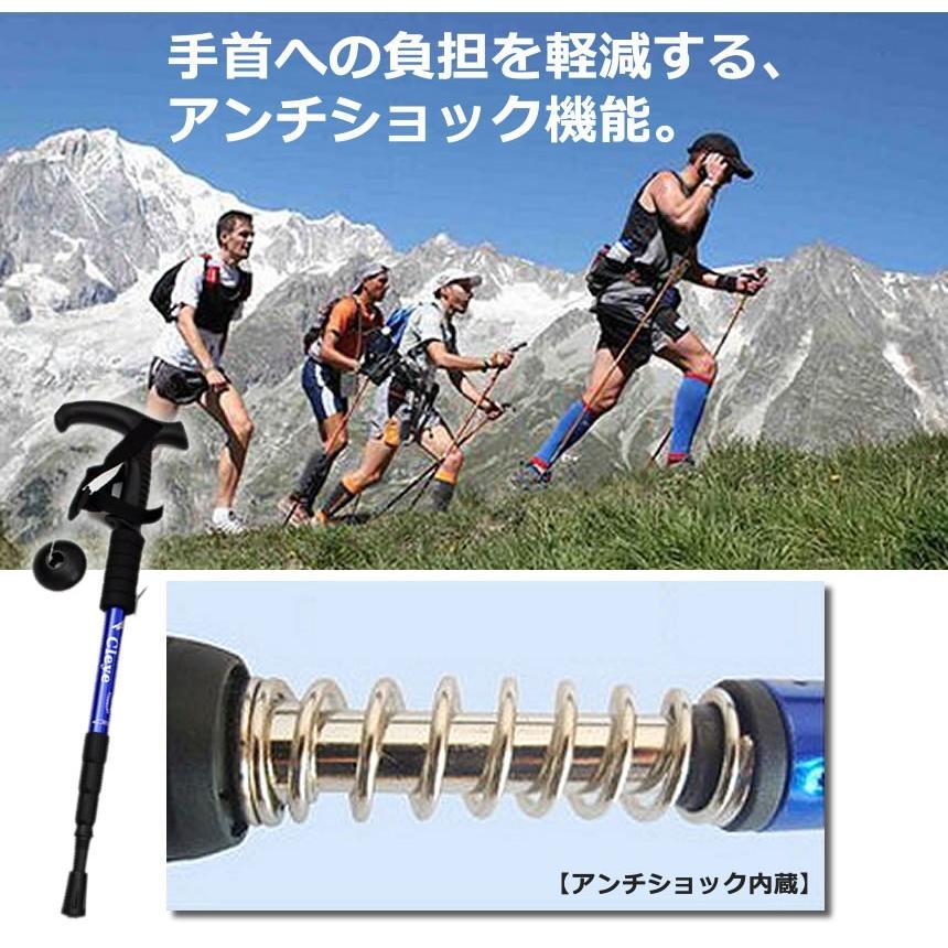 MSR TWING トレッキングポール2本付き トレッキングポール 2本セット