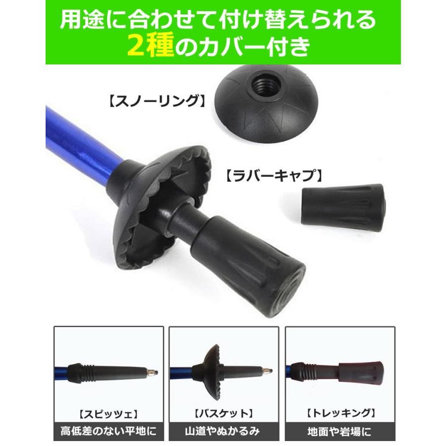 MSR TWING トレッキングポール2本付き トレッキングポール 2本セット