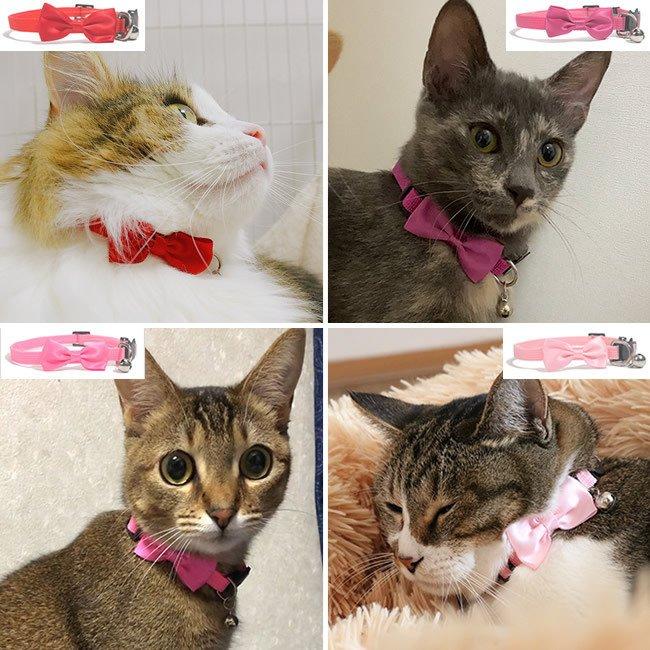 猫 首輪 猫用首輪 リボン セーフティバックル カラーリボン 猫の首輪
