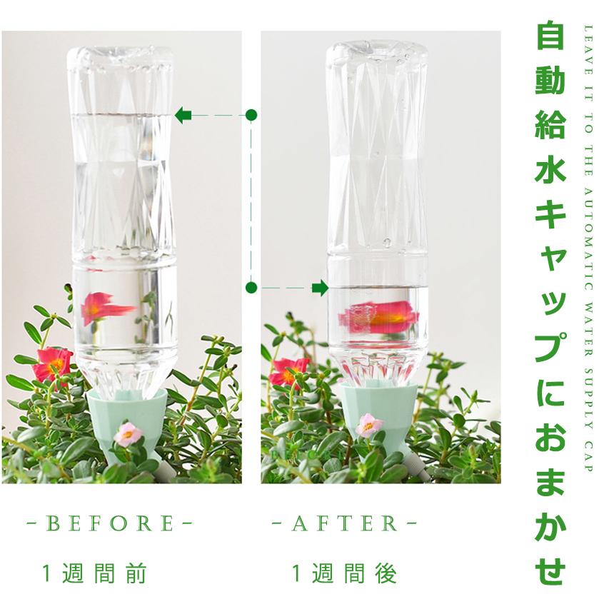 水やり当番 12個セット 観葉植物 自動水やり器 自動給水器 自宅 植木鉢 植物 留守中 園芸 盆栽 栄養 木 6-MIZUIRE｜aspace｜04