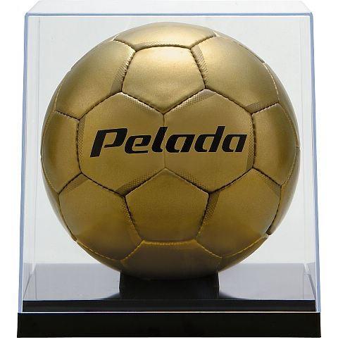 [molten]モルテン クリアケース　5号球用 (CC50N) [取寄商品] | molten | 03