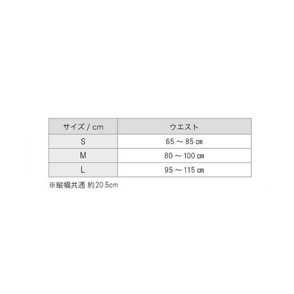 [Phiten]ファイテン サポーター メタックス 腰用 ハードタイプ サイズ：M｜aspo｜03