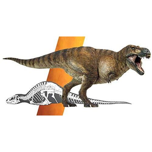 Pnso 恐竜博物館 1 35 サイズ リアル 模型 ティラノサウルス T Rex 恐竜好 恐竜 リアル フィギュア Pvc プラモデル おもちゃ 模型 恐竜好 A B08r1ntghd 2601 Asrm