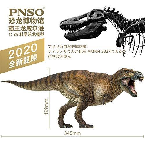 Pnso 恐竜博物館 1 35 サイズ リアル 模型 ティラノサウルス T Rex 恐竜好 恐竜 リアル フィギュア Pvc プラモデル おもちゃ 模型 恐竜好 A B08r1ntghd 2601 Asrm