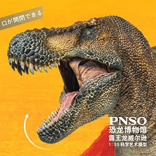 Pnso 恐竜博物館 1 35 サイズ リアル 模型 ティラノサウルス T Rex 恐竜好 恐竜 リアル フィギュア Pvc プラモデル おもちゃ 模型 恐竜好 A B08r1ntghd 2601 Asrm