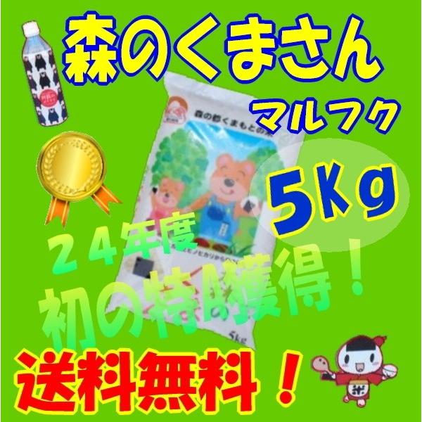 九州の米、28年産【】丸福、森のくまさん、５Ｋｇ白米、（熊本の米）｜ass