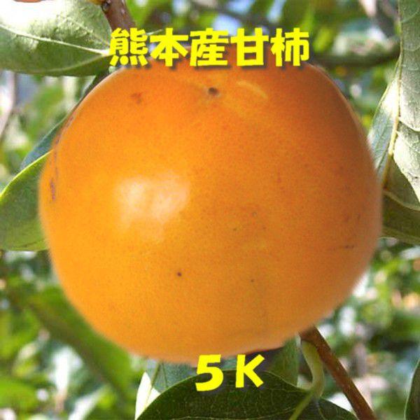 天然甘柿、５Ｋ　２０〜２５玉（九州、熊本より）｜ass