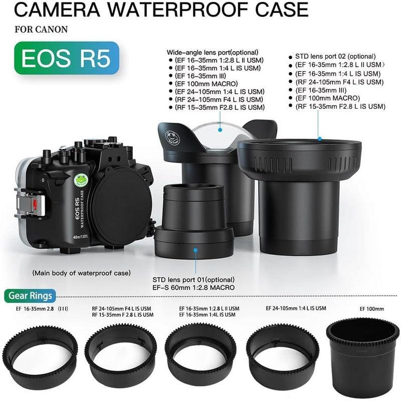 お買い得！ Sea Frogs Canon EOS R5 60mm 40m/130フィート 最大潜水深 水中防水ハウジング プロフェッショナルダイビング 【UOI1282572978】(44820円)