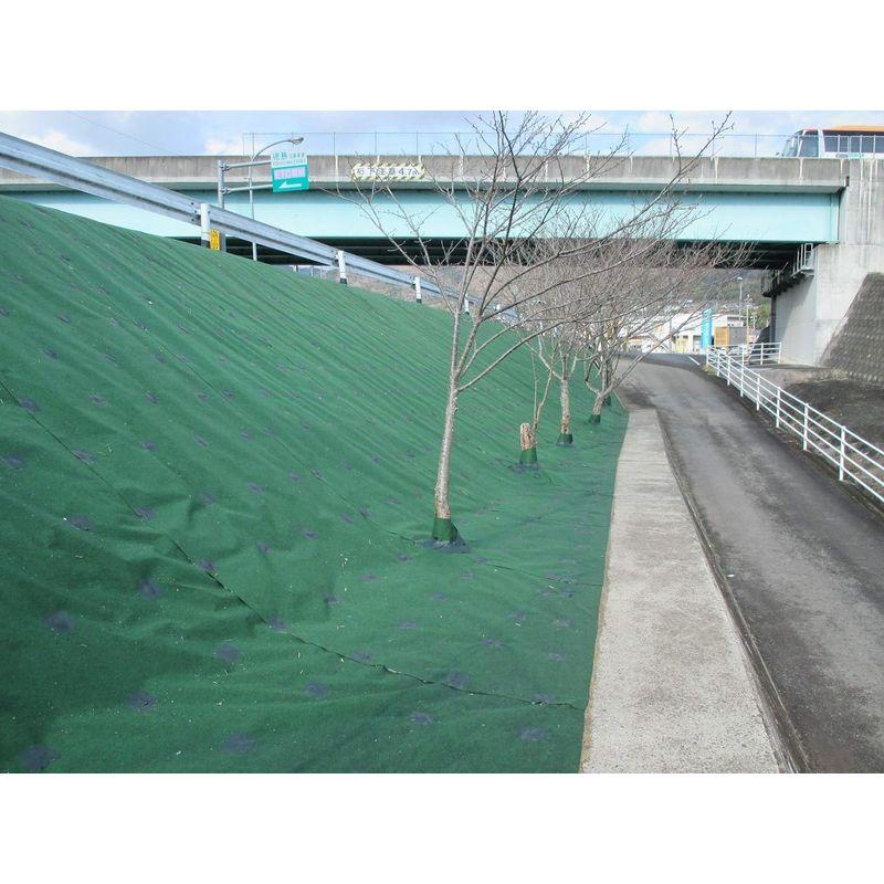 シンセイ 防草シート ストロングマット 超厚手3mm 2m×20m グリーン グリーン 防草シート ストロングマット 超厚手3mm 2m×20m サイズ