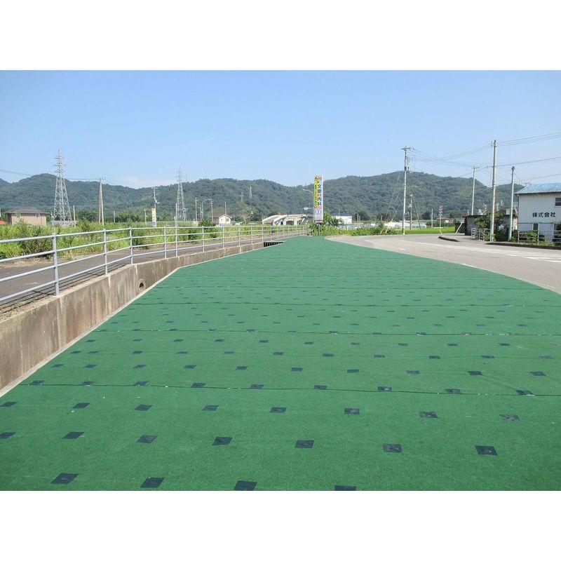 シンセイ 防草シート ストロングマット 超厚手3mm 2m×20m グリーン グリーン 防草シート ストロングマット 超厚手3mm 2m×20m サイズ
