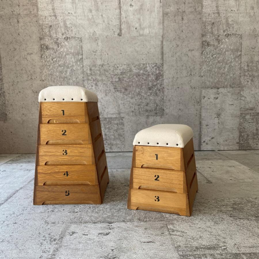 TOBIcoBACO トビコバコ・5段　跳び箱収納シリーズ 小物収納 跳び箱 |  | 06