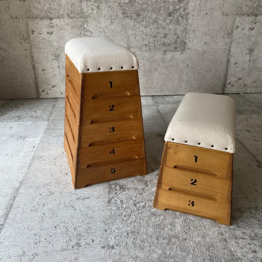 TOBIcoBACO トビコバコ・5段　跳び箱収納シリーズ 小物収納 跳び箱 |  | 07