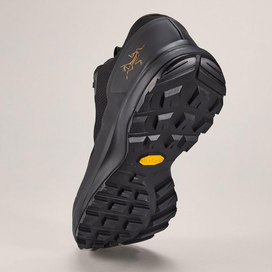 ARC'TERYX アークテリクス-ARCTERYX エアリオスFL2GTX男性 ARC'TERYX アークテリクス-ARCTERYX エアリオスFL2GTX男性