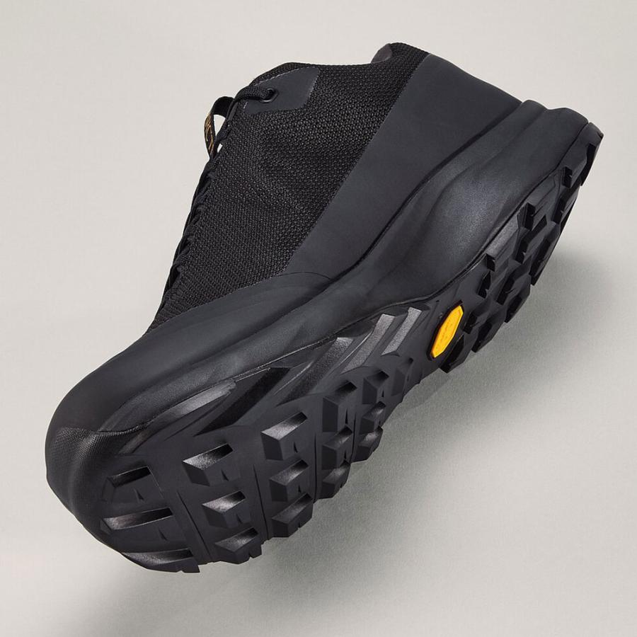 ARC'TERYX アークテリクス-ARCTERYX エアリオスFL2GTX男性 ARC'TERYX アークテリクス-ARCTERYX エアリオスFL2GTX男性