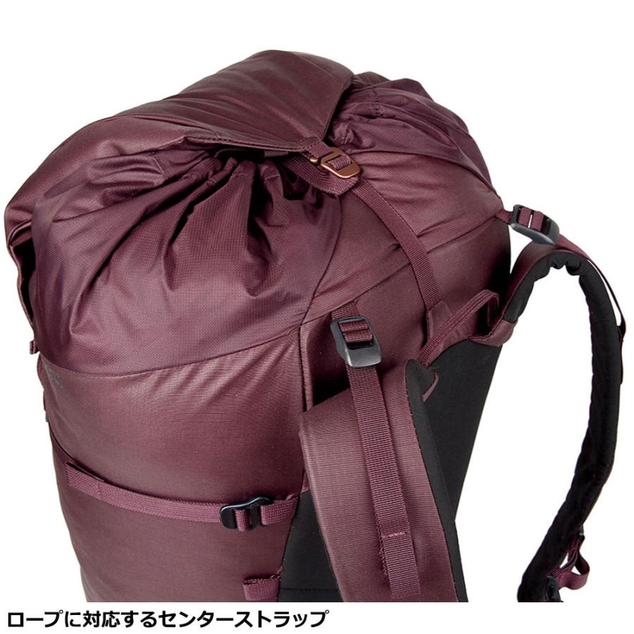 ブルーアイス　大型 ブルーアイス（BLUE カラー：エンサインブルー 100160 38L クメ ICE） コニファー・針葉樹