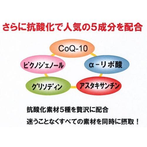 【お得意様】リカメンプラス（機能性食材） x3箱まとめ買い　ssi健康食品 |  | 01