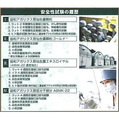 協和アガリクス茸 仙生露エクストラゴールドエキス濃縮タイプABMK-22・360ｍｇｘ2箱＋おまけ2袋 ssi｜assi｜02