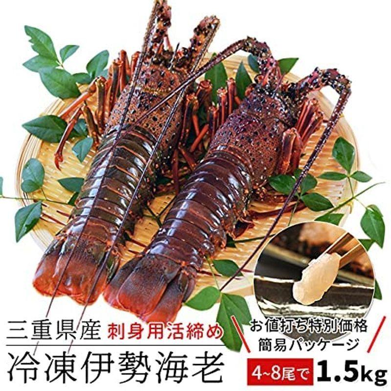 超安い 三重県産 伊勢エビ 冷凍 瞬間 刺身用 ７尾で約１ ５ｋｇ 詰合せ 伊勢海老 エビ Www Ja Kitakyu Or Jp