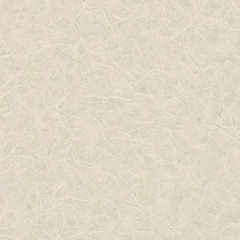 リリカラ 壁紙42m 住宅設備 和 和紙調 壁紙42m グレー Lw 2650 Japan