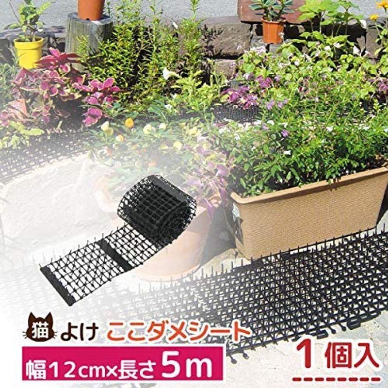 最高の Daim 猫よけ ここダメシート 幅12cm 5メートル巻 猫よけ対策 猫よけグッズ 犬 猫 除け シート マット セット イタズラ 防止 人気ショップが最安値挑戦 Turningheadskennel Com