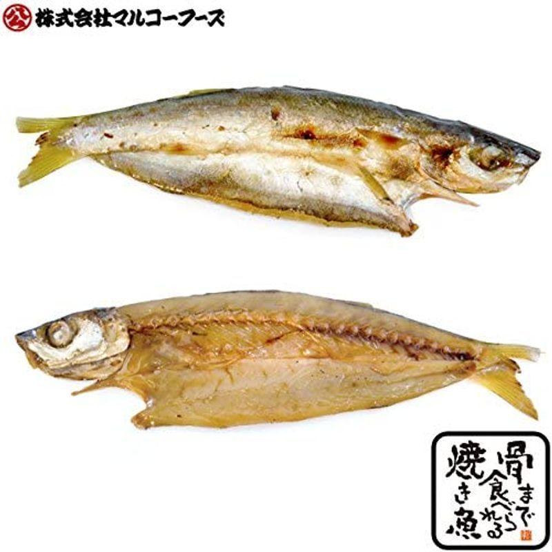 骨まで食べられる焼き魚 人気の7点バラエティーセット 干物 薫製 Www Mantraman Com Mx