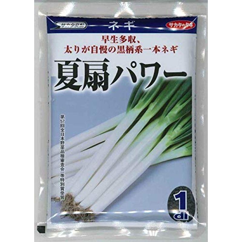 ジャパン公式オンライン サカタのタネ 野菜の種 ネギ 夏扇パワー 1dl 最安値販売 Clinicaaldente Es