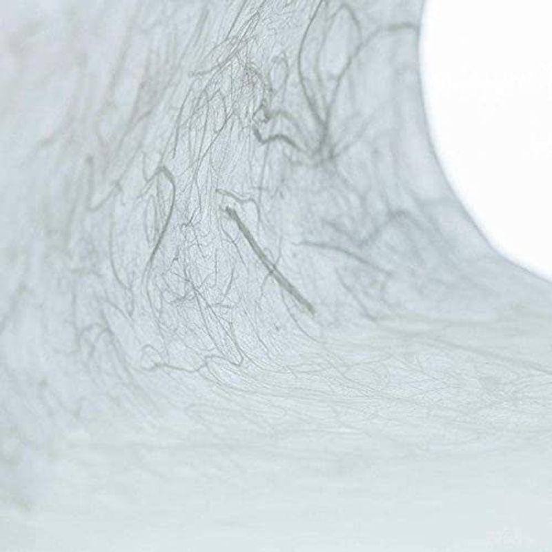 【30％OFF】 アワガミファクトリー ロール和紙（美術用） (春木紙ロール, 10m) 色和紙
