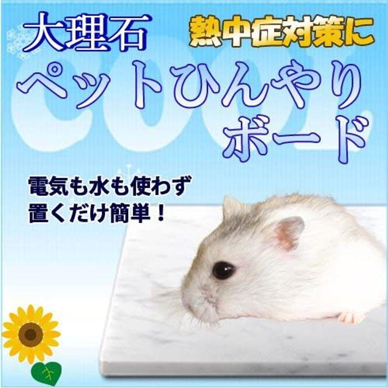 大理石でペットひんやりマット冷却タイルハムスター用 14 10ｃｍ 熱中症 暑さ対策 イタリア産白大理石 Assign 通販 Yahoo ショッピング