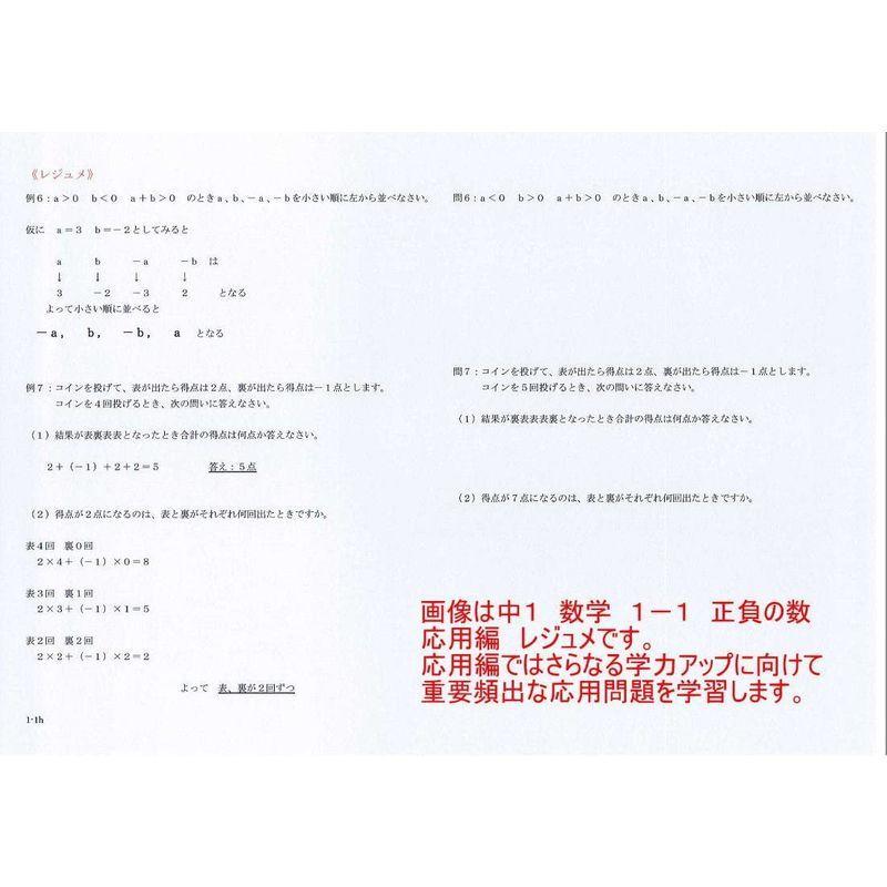中学 数学 問題集 1年 応用 問題集dvd 6枚セット 授業 テキスト 問題集 プロ家庭教師が教える 中学生用学習dvd 中学 教育 学習 コード販売 Royaldiamondlabradoodles Com