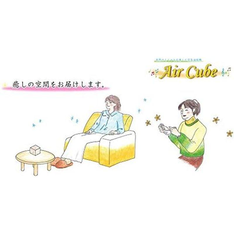 【正規販売店】 テネモス 空気活性機 AC Cube（交流可変式エアキューブ） 【SKC9591357485】(33518円)