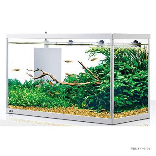 人気満点 ジェックス 水槽 サイレントフィット 600 最安値に挑戦 Zoetalentsolutions Com