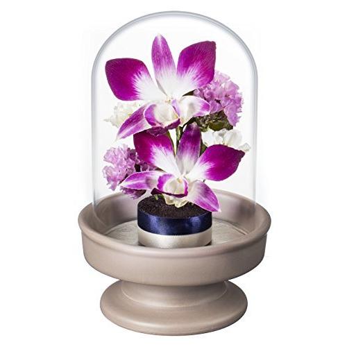 格安人気 レンデフロール 人工観葉植物 紫 H16 2x10 1x10 1 レンデフロール Zb D 60 Off M Mahdi Net