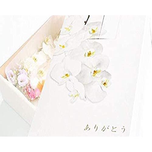 50 Off やすらぎ ダンボール ペット棺 大サイズ 中型犬 お別れ窓付 防水シート付 胡蝶蘭 大 在庫あり 即納 Southpointbd Com