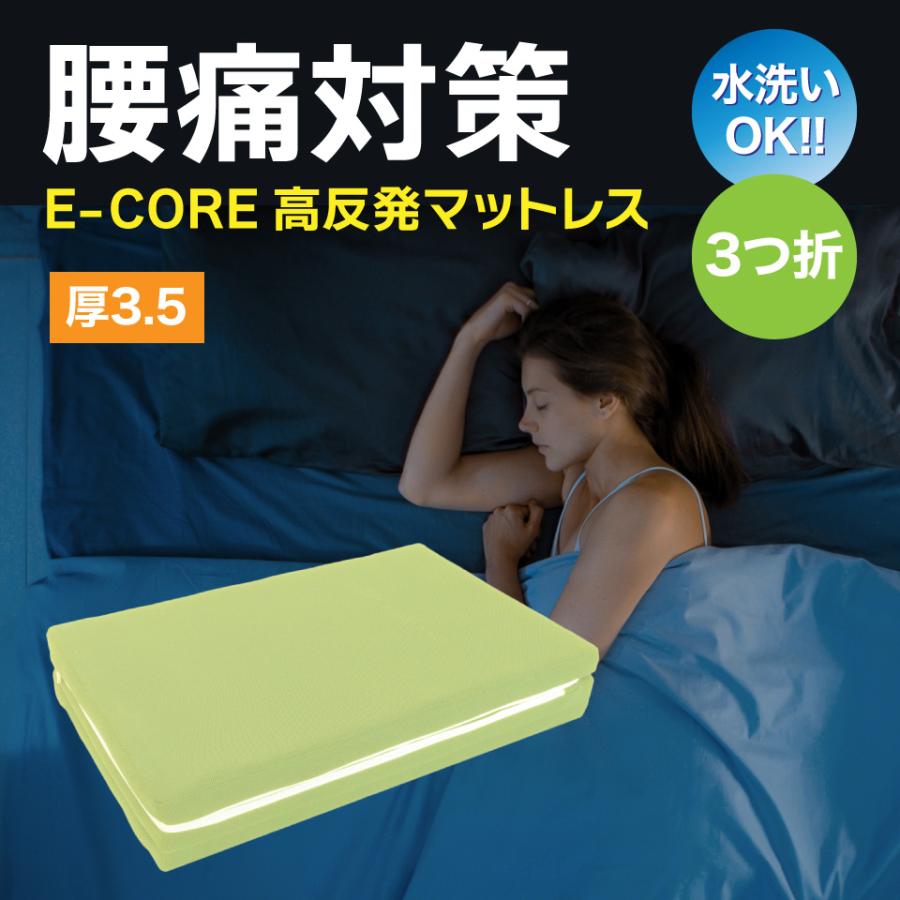E-CORE アトピー用マットレス ダブル 【公式通販】