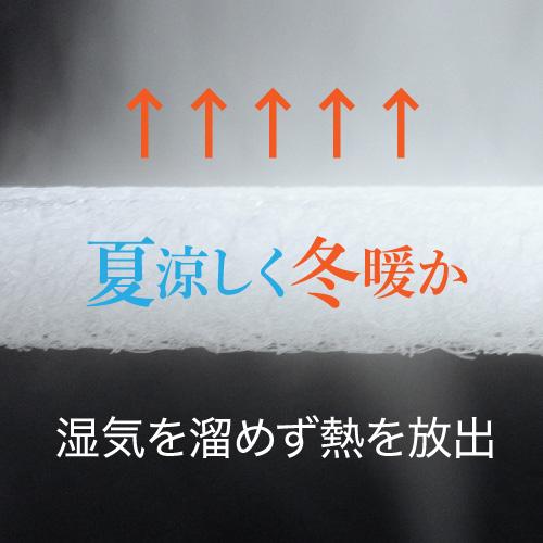 掛け布団 洗濯機で丸洗い 夏冬快適な極上の眠りE-COREコンフォーター（ダブルサイズ）の画像