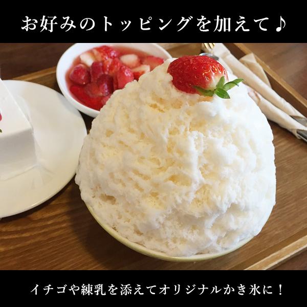 かき氷器 かき氷機 手動 コンパクト 氷かき器 小さい 1人 手動式