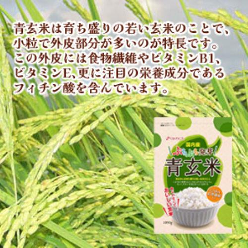 ぷちぷち発芽青玄米　1050ｇ 玄米 国産 国内産 大容量 健康 雑穀米 料理 食物繊維 ビタミンE フィチン酸 小粒 健康食品 スーパーフード お中元  お歳暮 ギフト｜assistfood｜02