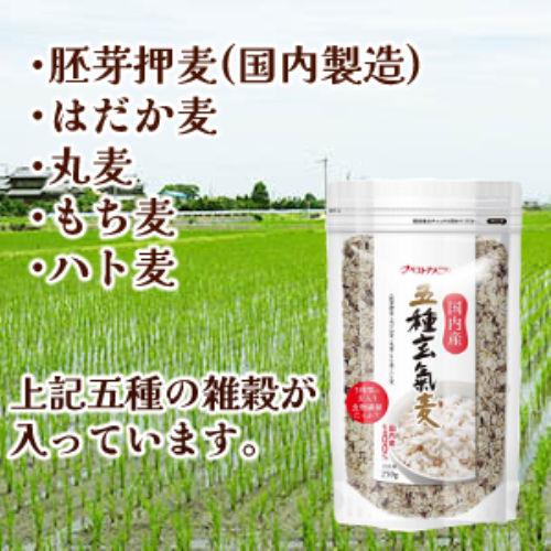 国産　五種玄氣麦　250ｇ　国内産 国内製造 健康 雑穀米 安心 料理 食事 雑穀米 人気 炊くだけ 美容 スーパーフード 朝食 昼食 お弁当 お中元 お歳暮 ギフト｜assistfood｜02