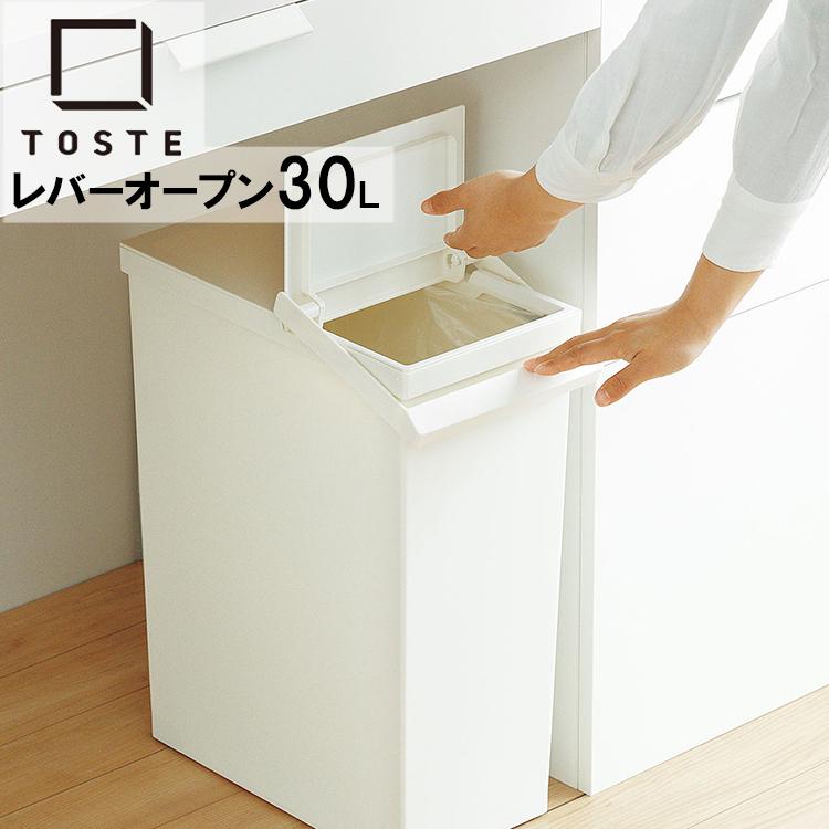 ゴミ箱 TOSTE （トステ）レバーオープン 30L ダストBOX 開閉 レバー式 角型 ごみ箱 取っ手 おしゃれ 北欧 棚下 帯電防止 キャスター付 リス risu｜assistone