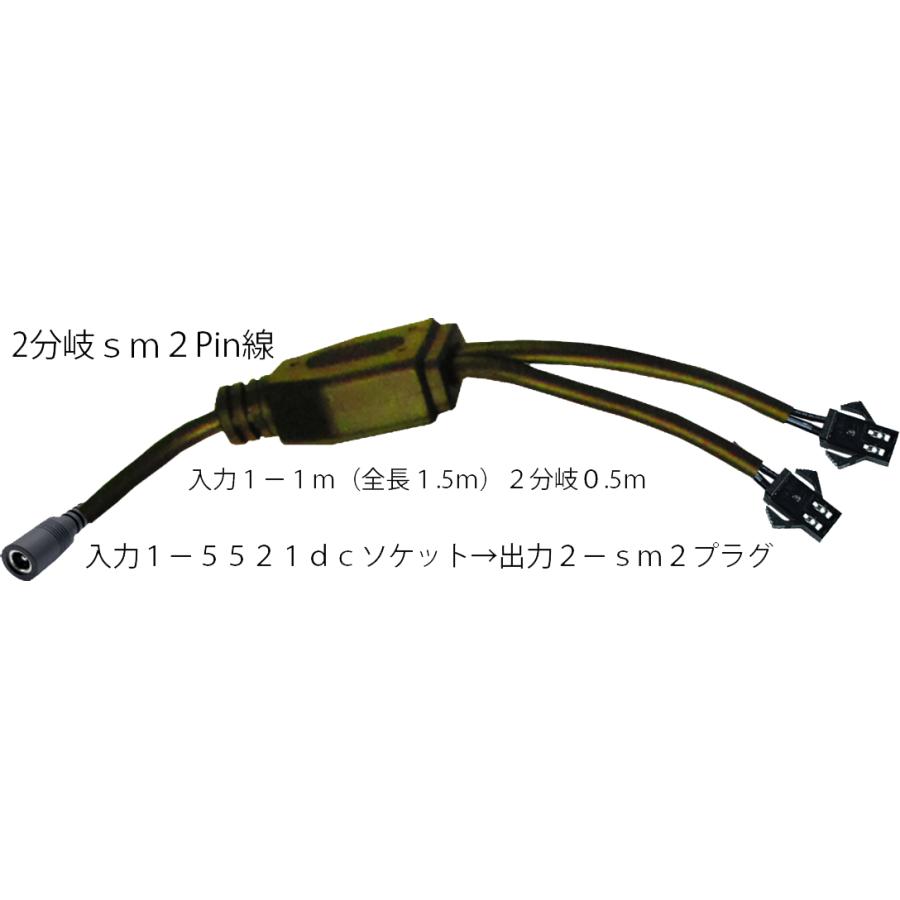 ＳＭ２分岐ＤＣ線 | 