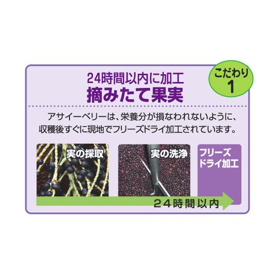 オルト（ORTHO）　アサイーベリー・アイ　60粒入り（約30日分）　栄養機能食品：亜鉛｜assot｜02